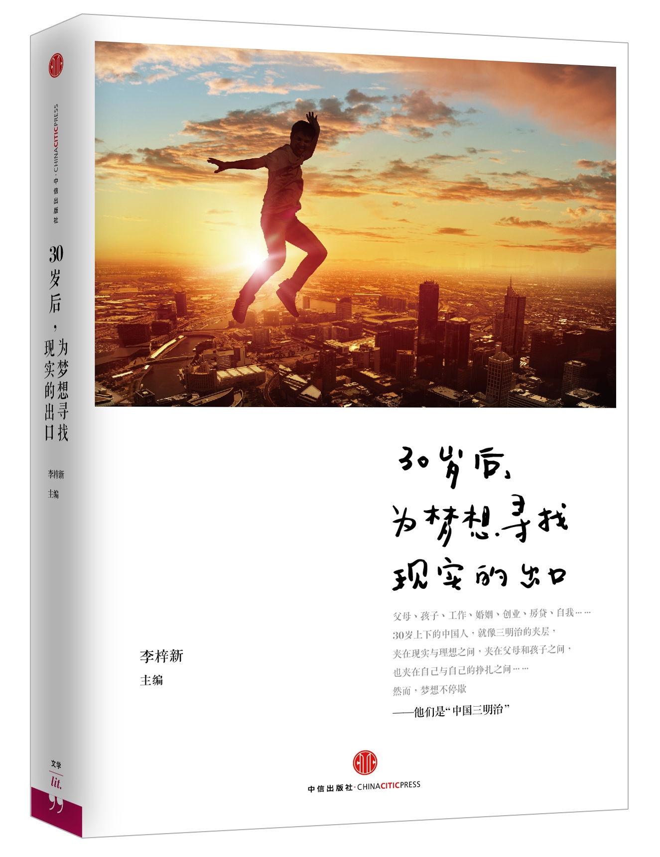 30岁后，为梦想寻找现实的出口 中信出版社