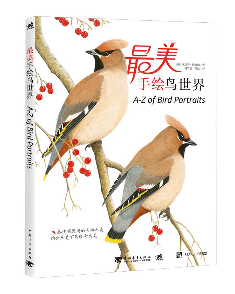 鸟 绘画 (英)安德鲁·福克纳著 中国青年出版社 9787515333090