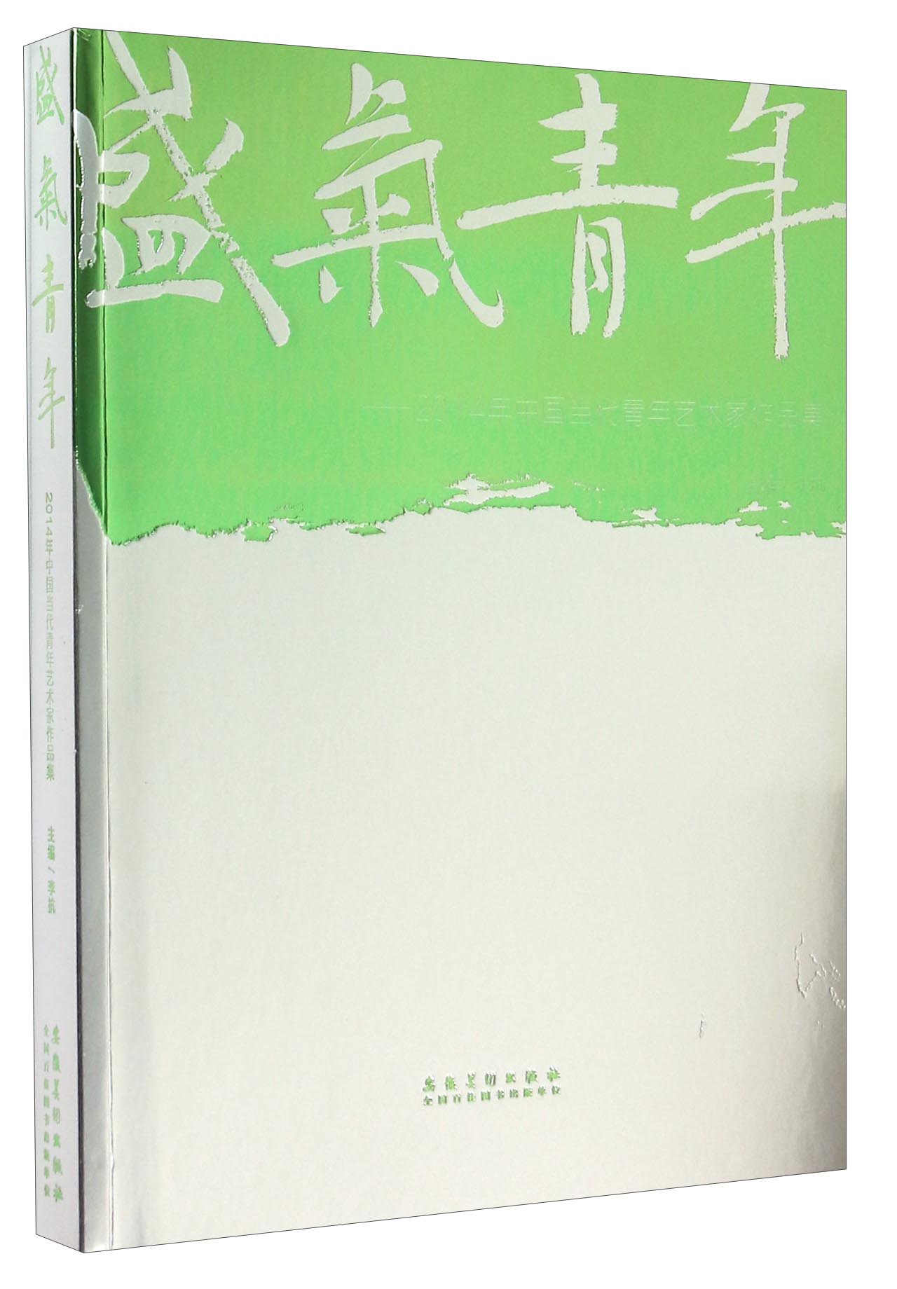 盛气青年:2014年中国当代青年艺术家作品集