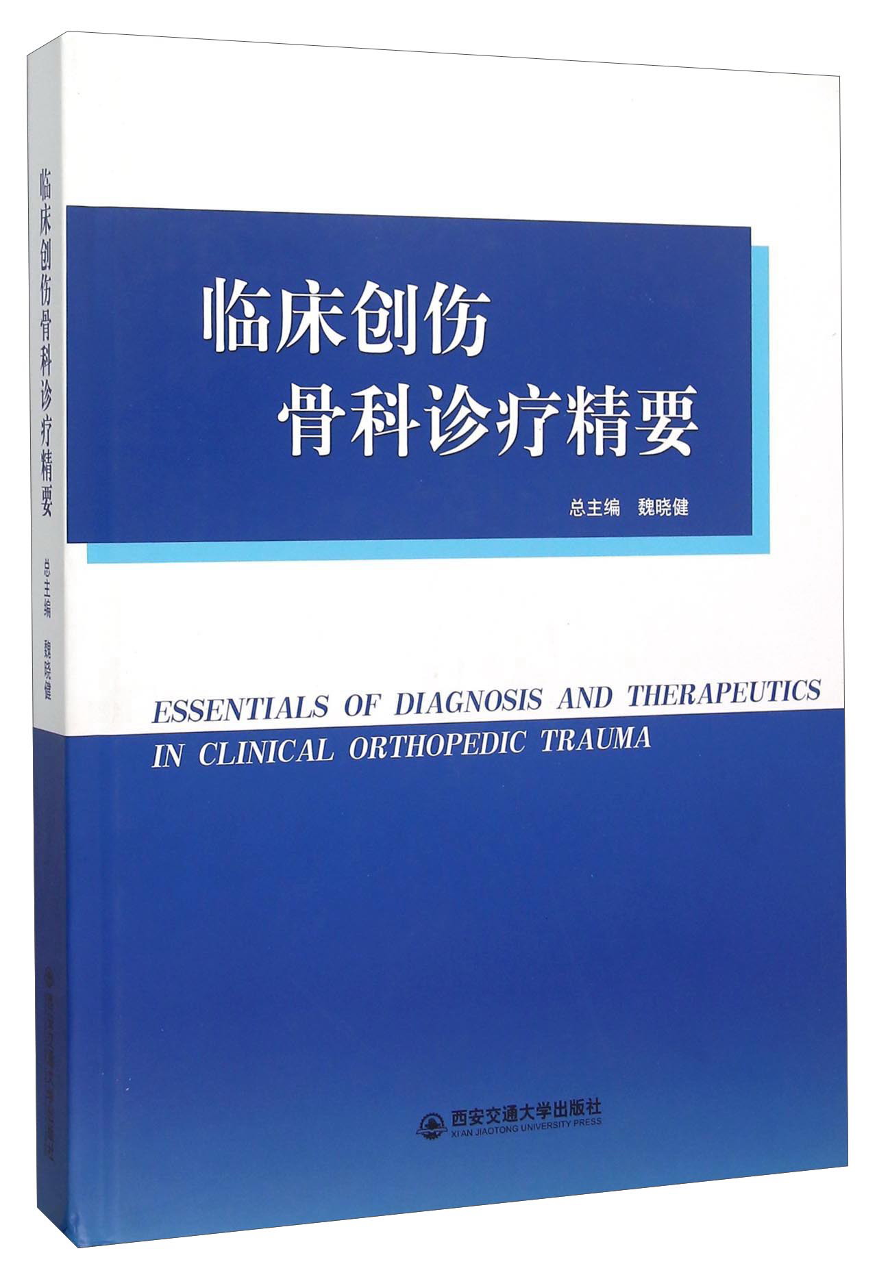 临床创伤骨科诊疗精要