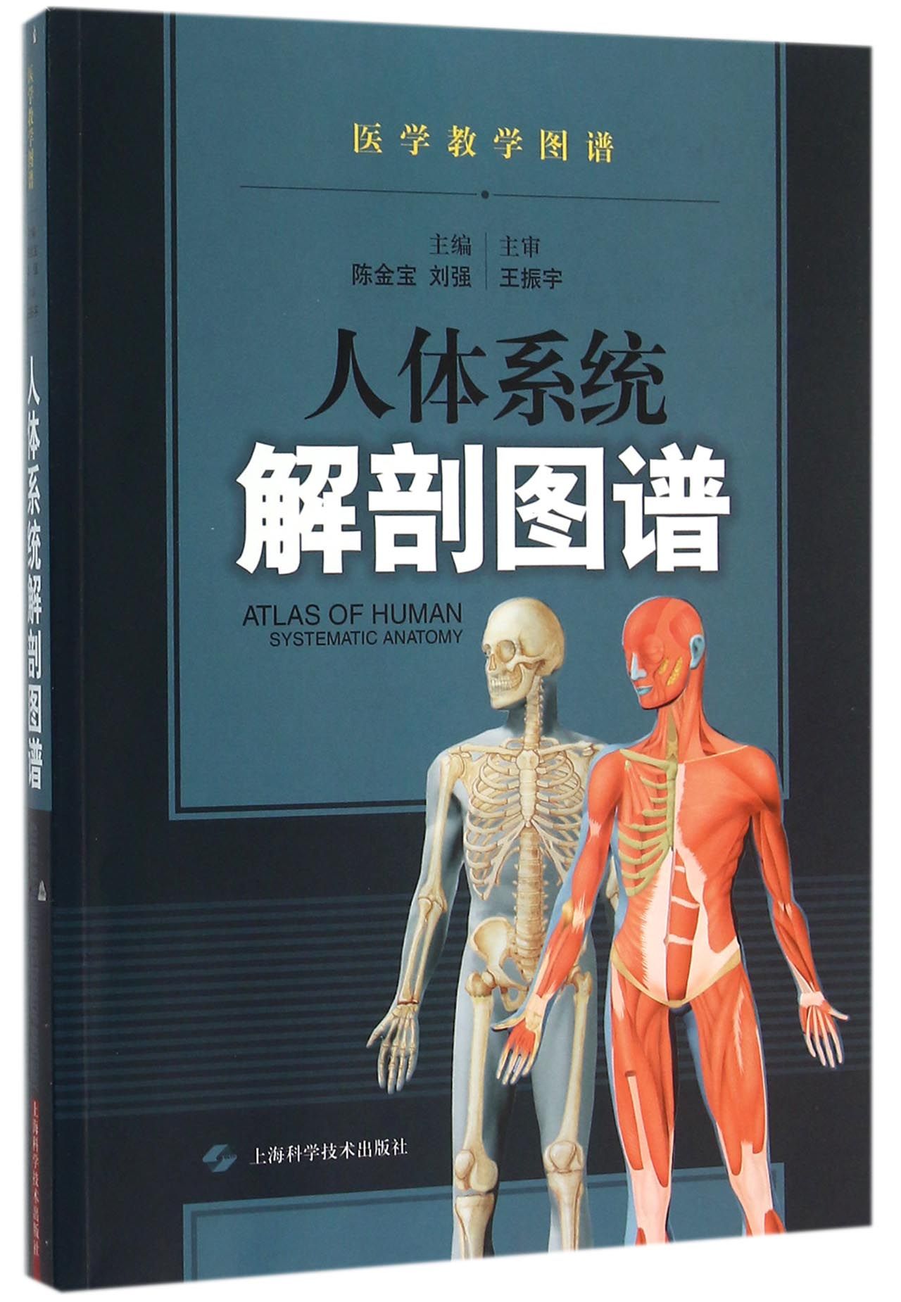 人体系统解剖图谱/医学教学图谱