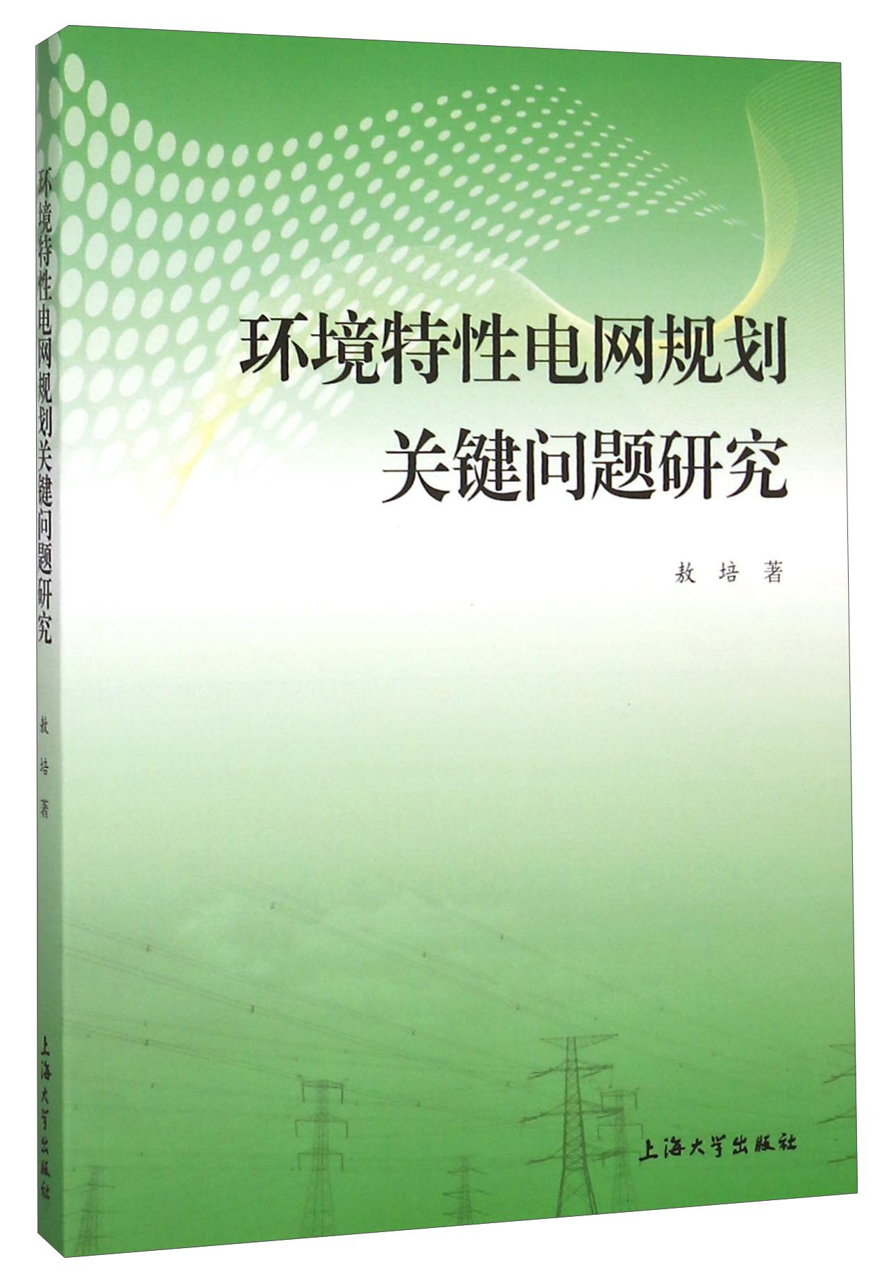 环境特性电网规划关键问题研究