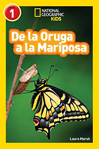 NGR ORUGA A LA MARIPOSA 进口儿童绘本