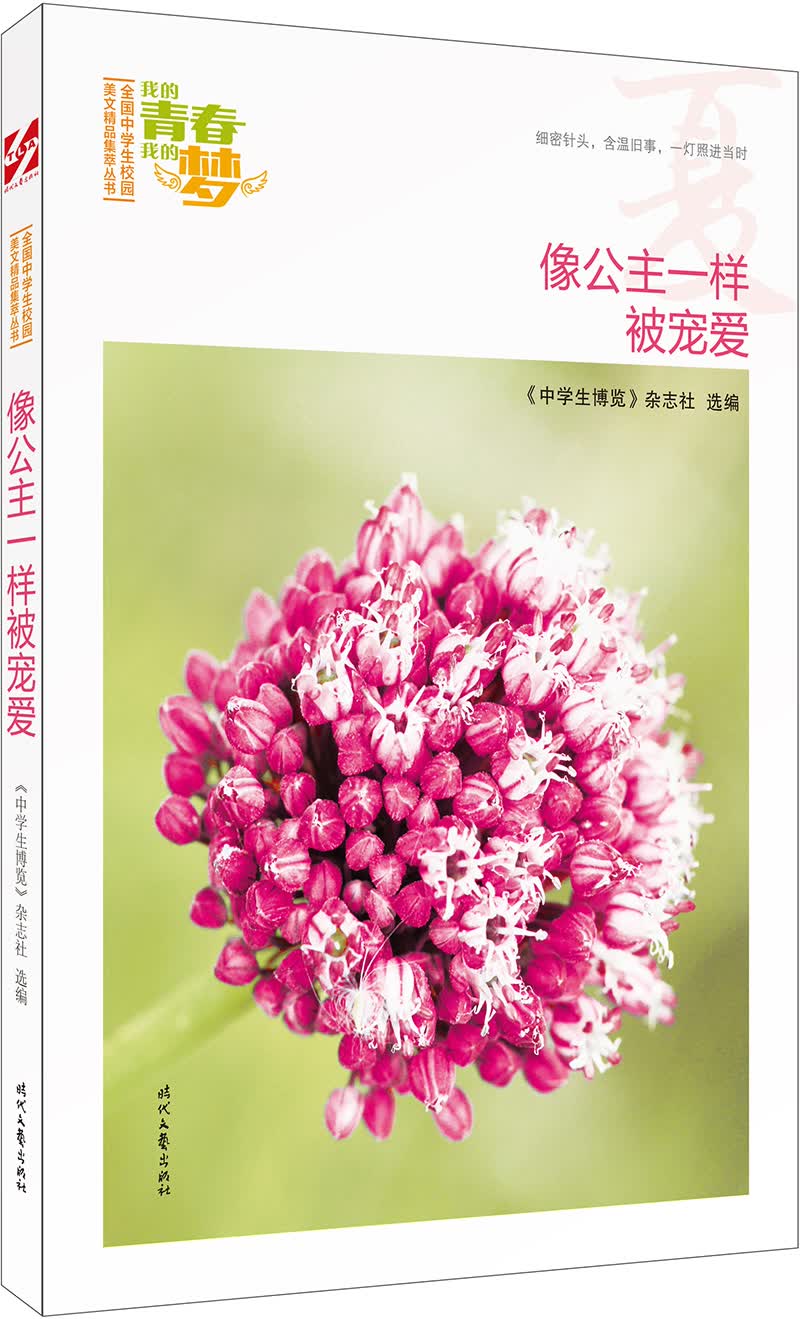 我的青春我的梦：（夏）像公主一样被宠爱