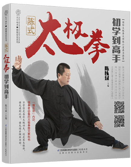陈式太极拳初学到高手