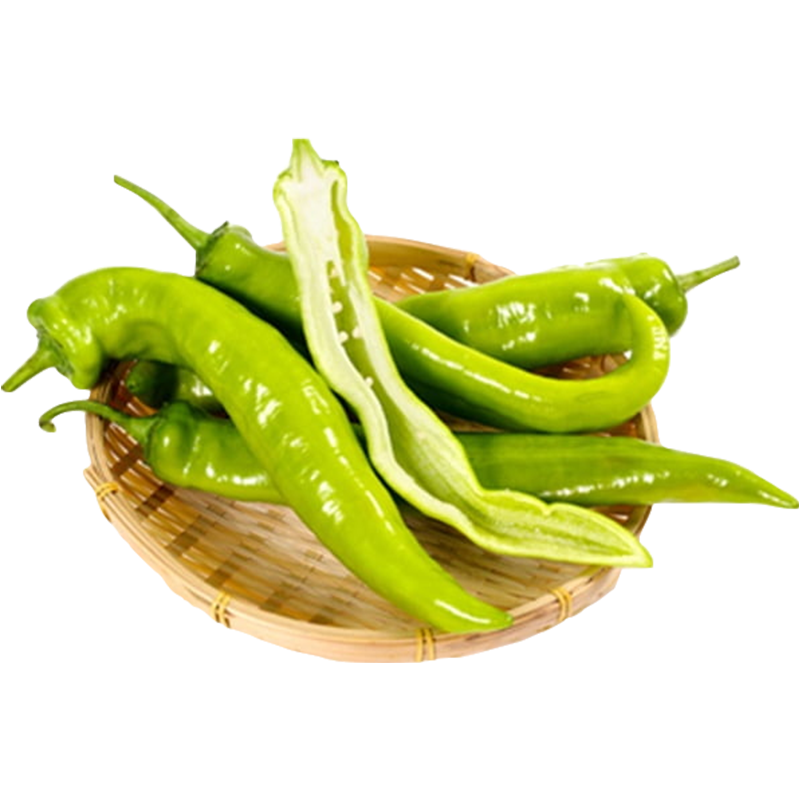 北菜園有機(jī)尖椒250g 北京延慶種植有機(jī)蔬菜 綠尖椒 精包裝綠尖椒