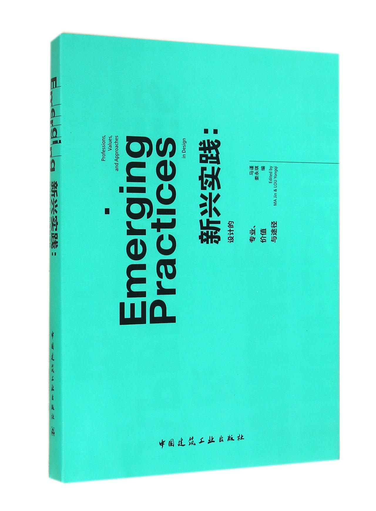 新兴实践--设计的专业价值与途径