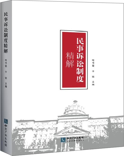 民事诉讼制度精解