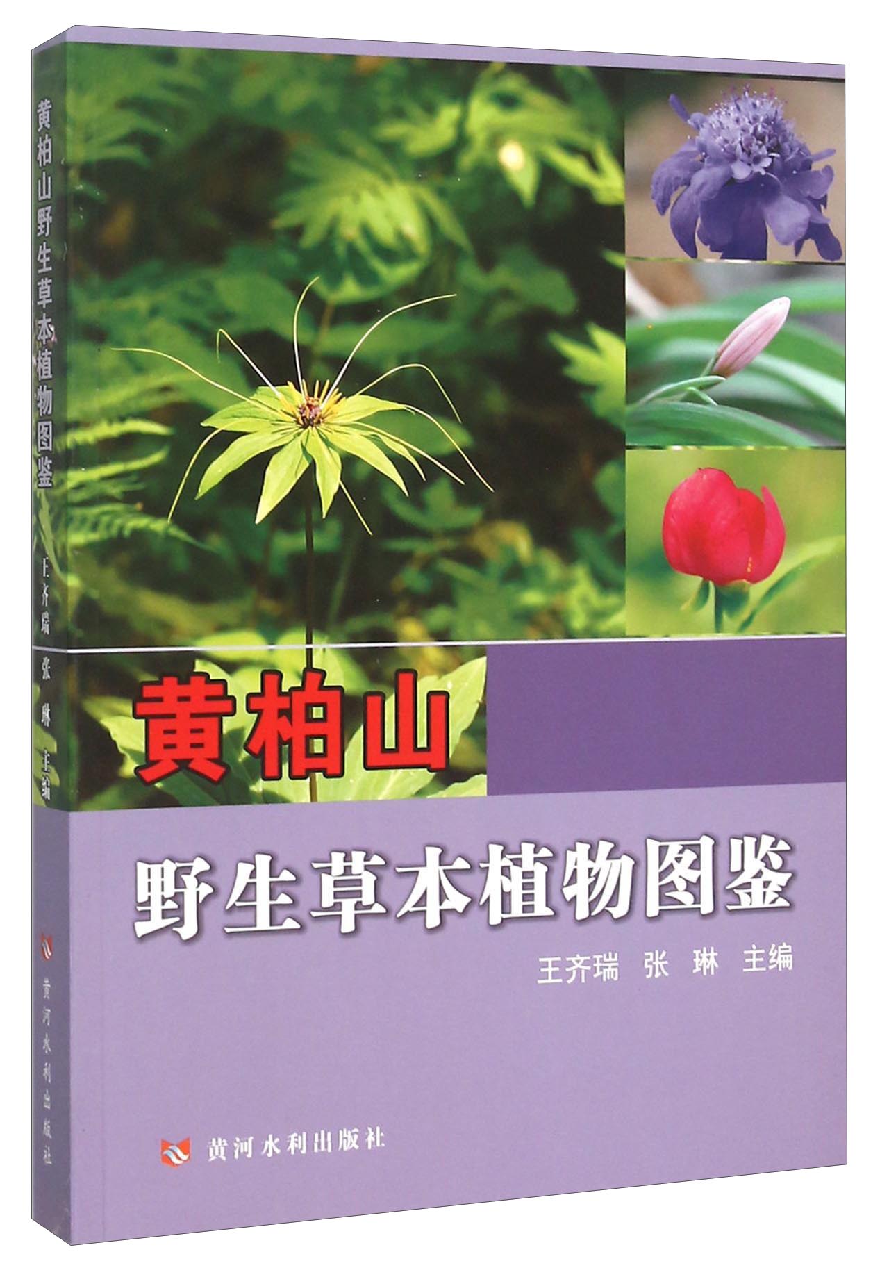 黄柏山野生本植物图鉴9787550911819