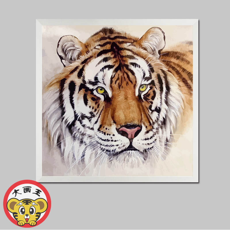 属虎头五行属火猫科动物自己画纯手工diy数字油彩画 温和老虎-7108 50