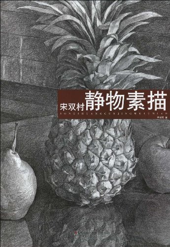 宋双村静物素描 绘画 书籍