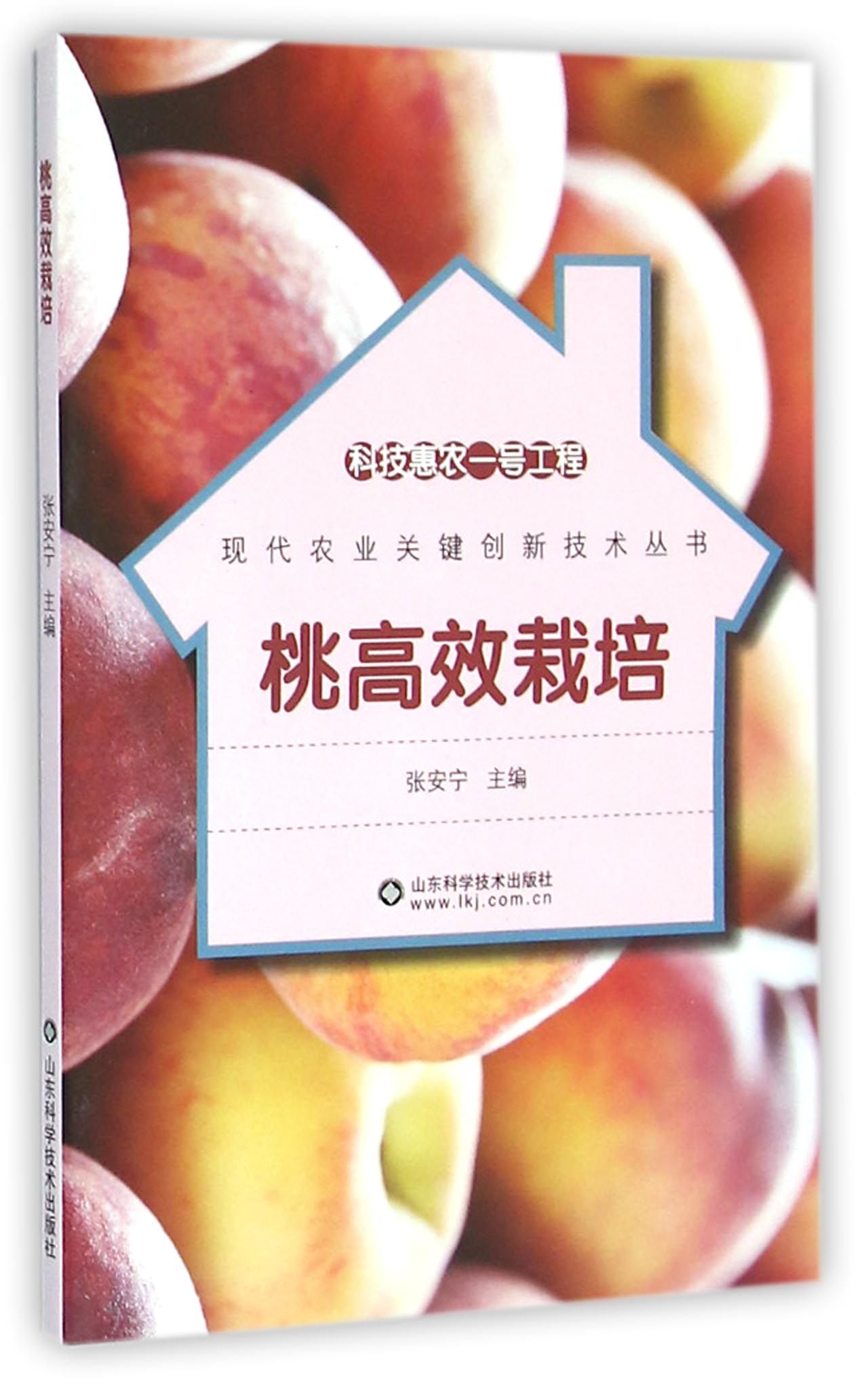 桃高效栽培/现代农业关键创新技术丛书