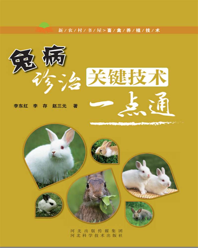 兔病诊治关键技术一点通