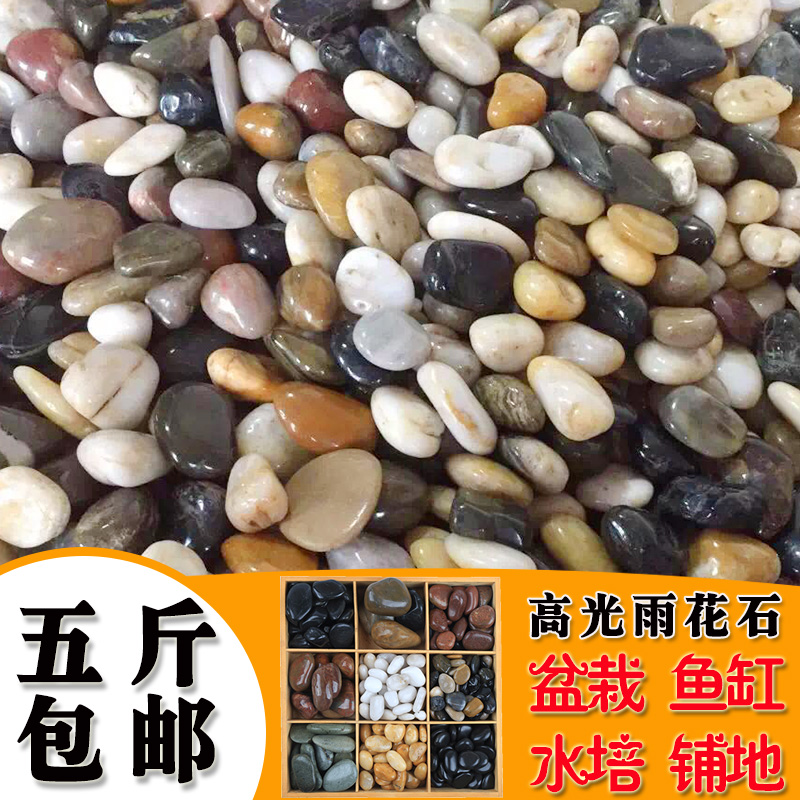 鹅卵石雨花石天然小石子鱼缸花盆多肉装饰盆栽园艺彩石头 5斤装 五彩1~3cm一元硬币大小【5斤装】