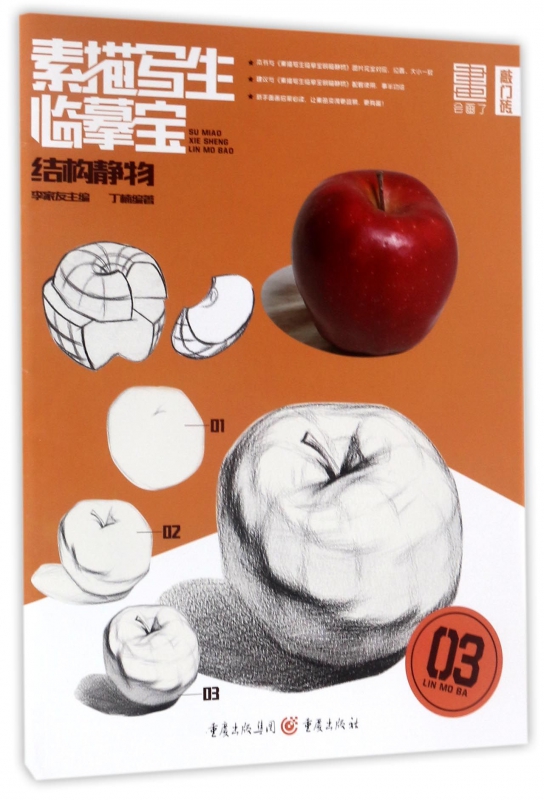 结构静物/素描写生临摹宝