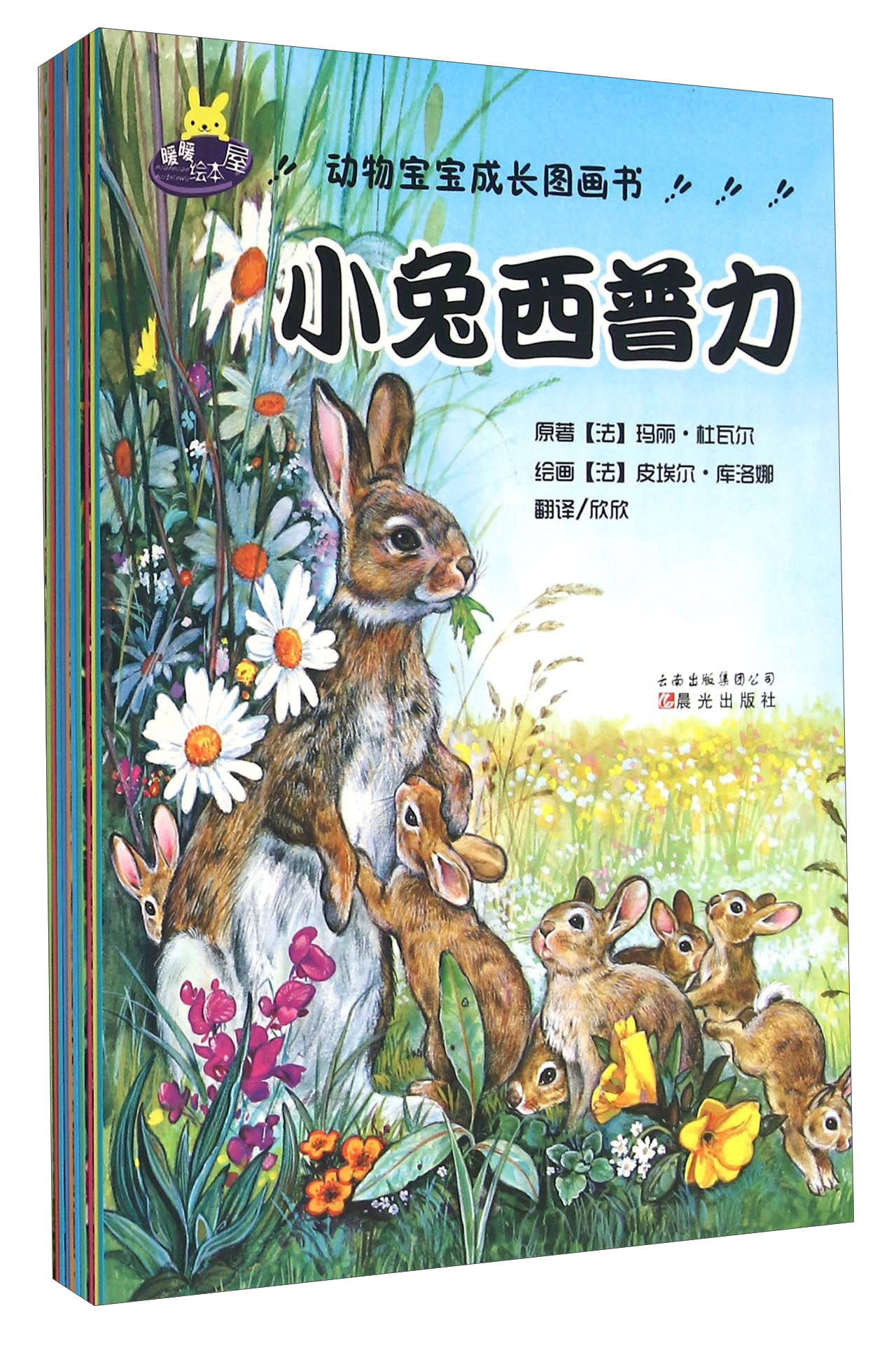 动物宝宝成长图画书（套装共12册）