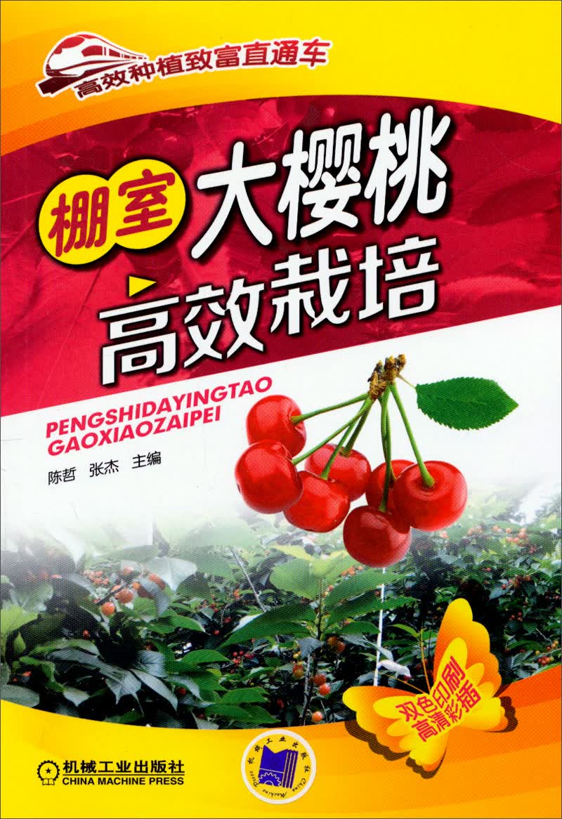 高效种植致富直通车：棚室大樱桃高效栽培