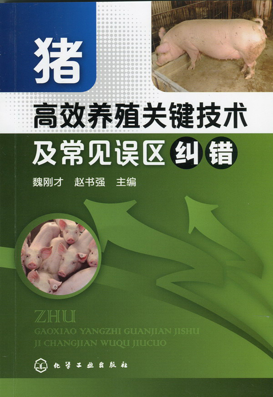 猪高效养殖关键技术及常见误区纠错