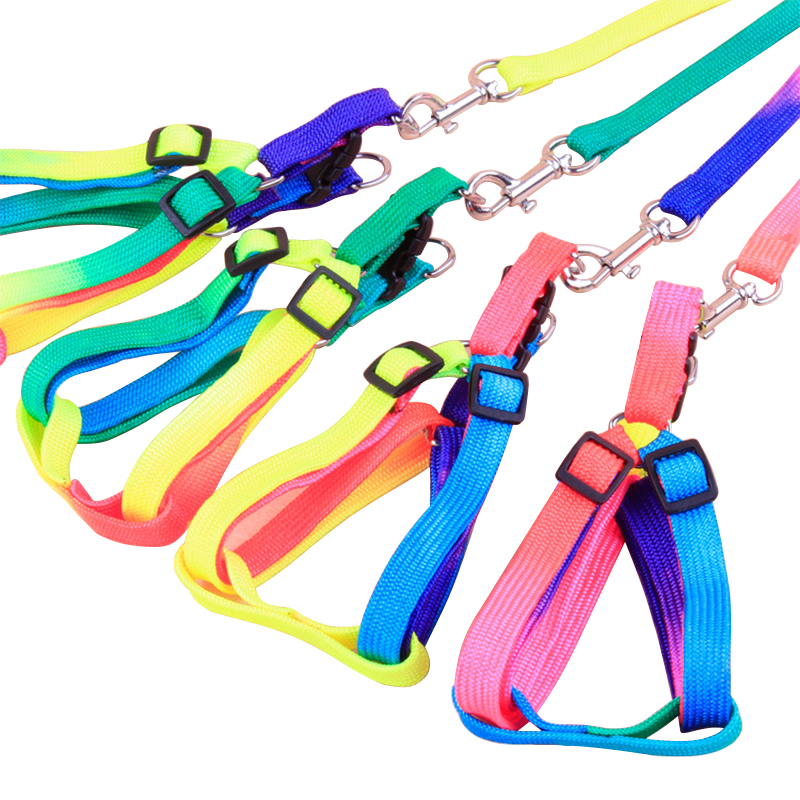 项圈小狗绳狗链子遛狗绳泰迪栓狗绳小型犬 七彩胸背带(胸围25-40cm)