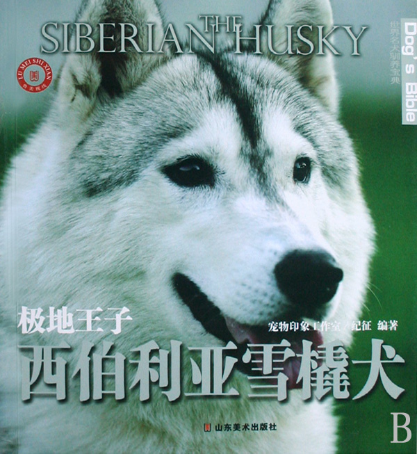 西伯利亚雪橇犬(极地王子)/世界名犬驯养宝典