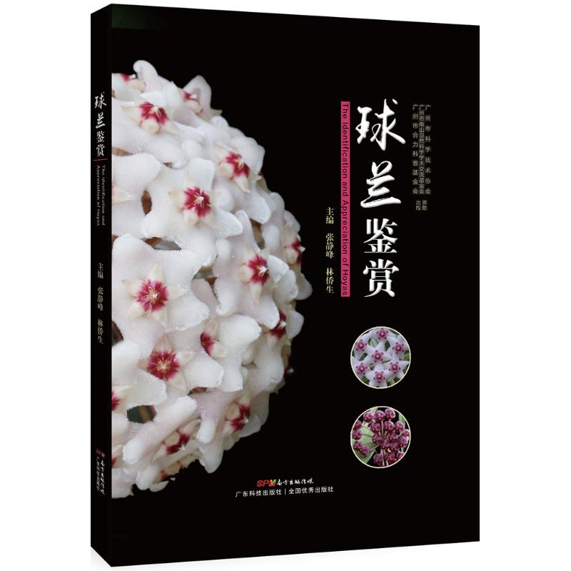 球兰鉴赏