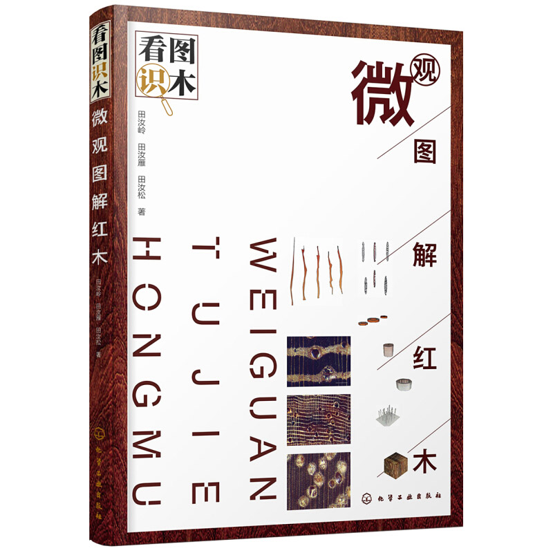 看图识木 微观图解红木 木材基础知识 三维木材微观结构 实木原色显微图片木材解剖学名词解释 木材标本