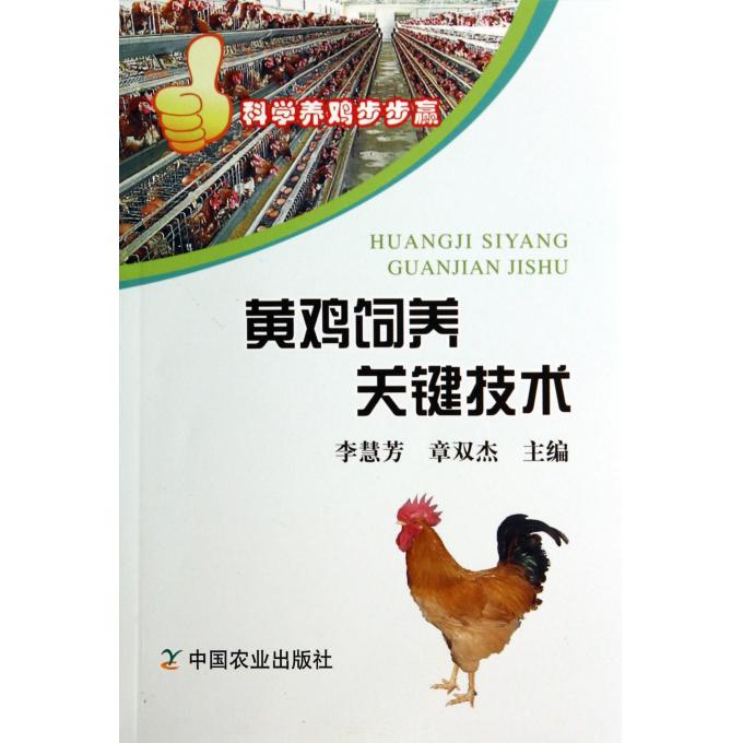 黄鸡饲养关键技术/科学养鸡步步赢