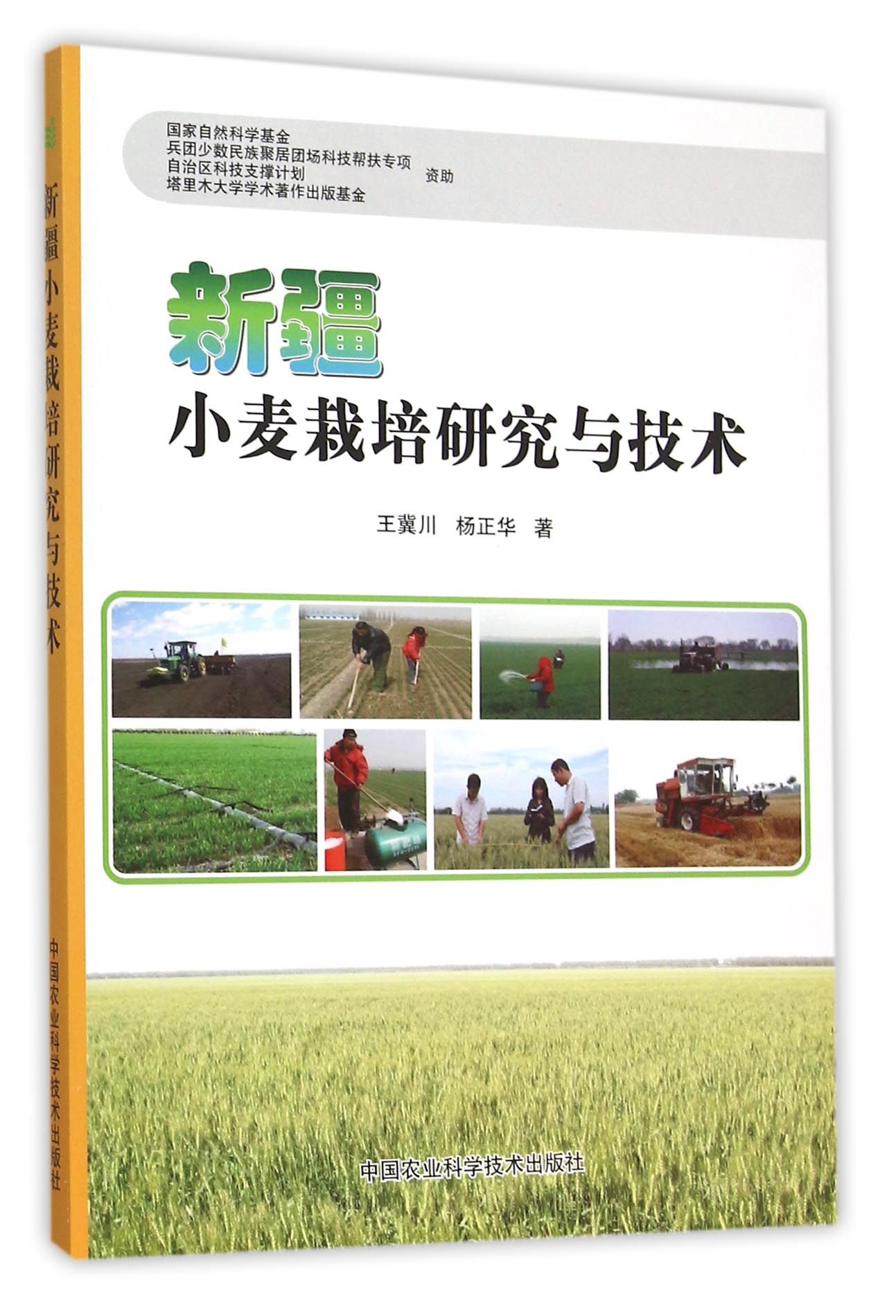 新疆小麦栽培研究与技术