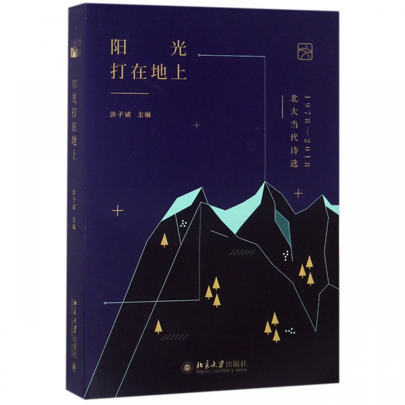 阳光打在地上(北大当代诗选1978-2018)