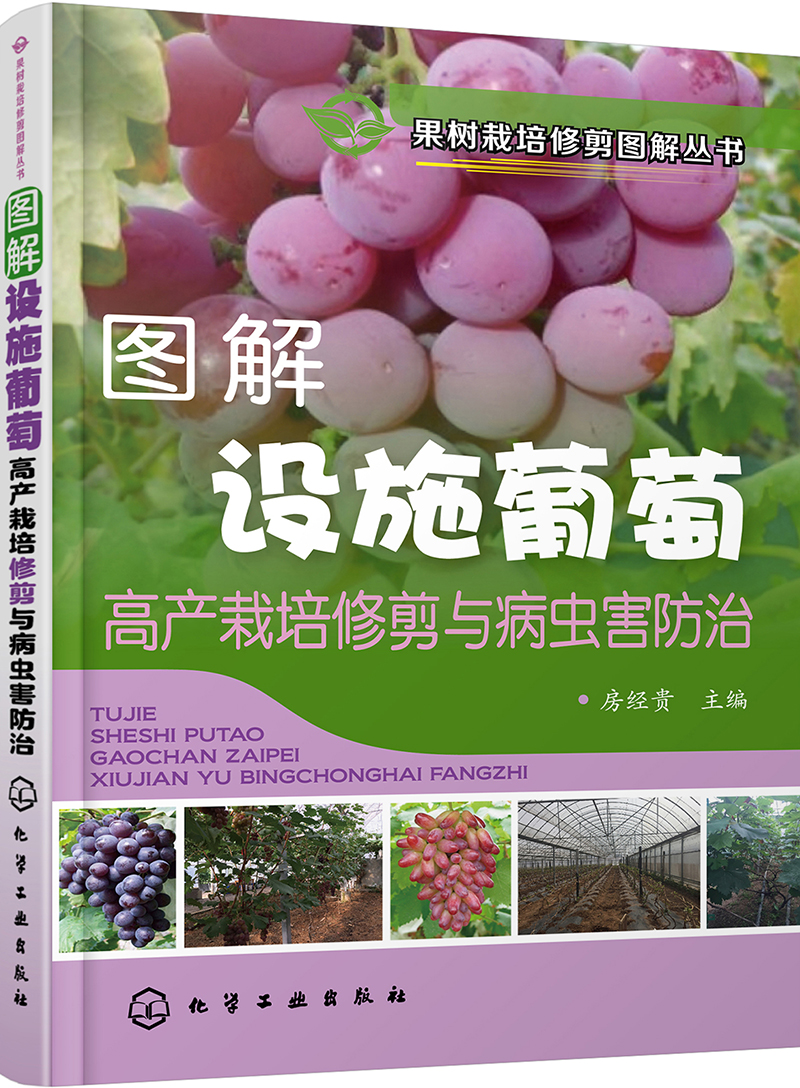 果树栽培修剪图解丛书--图解设施葡萄高产栽培修剪与病虫害防治