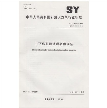 SY/T 5705-2012 井下作业数据项名称规范