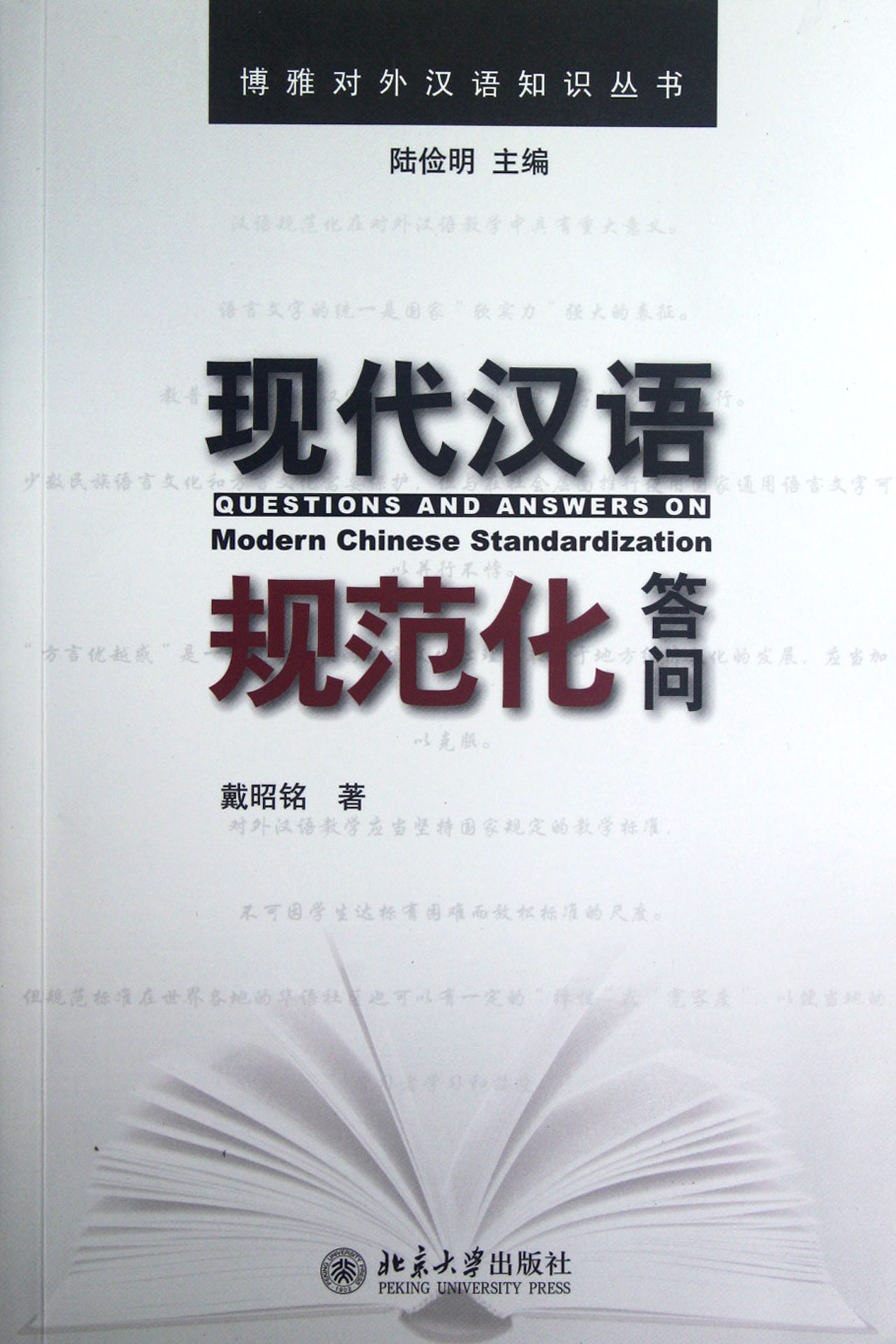 现代汉语规范化答问/博雅对外汉语知识丛书