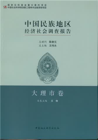 中国民族地区经济社会调查报告·大理市卷