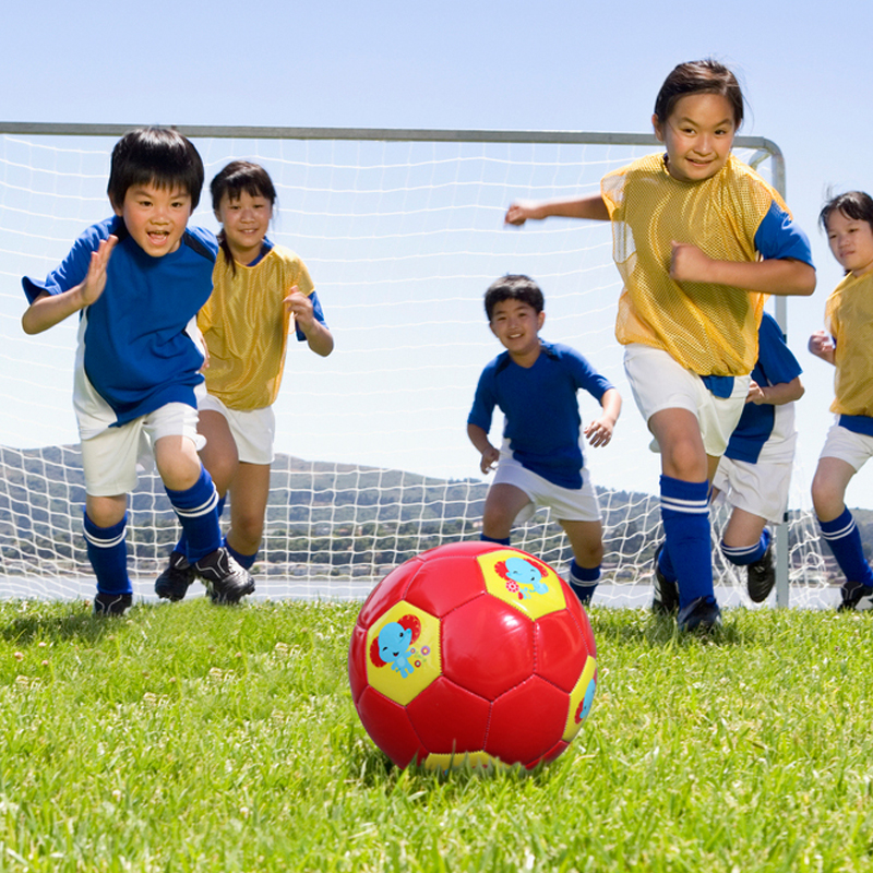 儿童玩具球费雪足球户外运动玩具小皮球幼儿园宝宝玩具球18cm评测哪款功能更好,评测哪款质量更好？