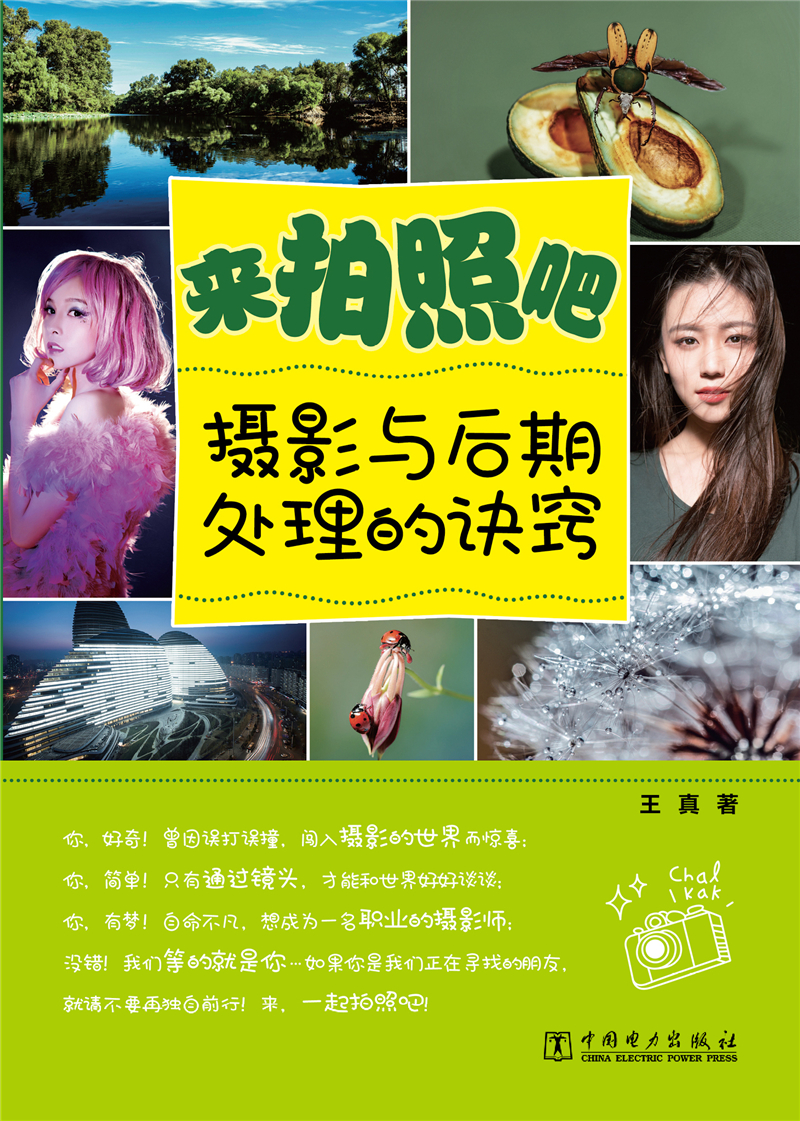 正版现货 来拍照吧：摄影与后期处理的诀窍9787512380882中国电力