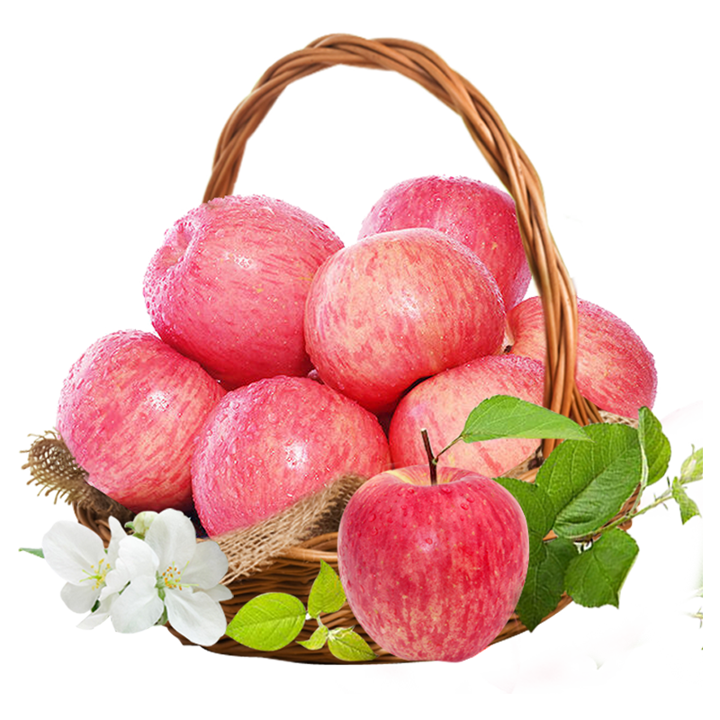 顶端果业陕西红富士延安洛川苹果生鲜水果礼盒装 12枚75mm嘎啦苹果礼盒