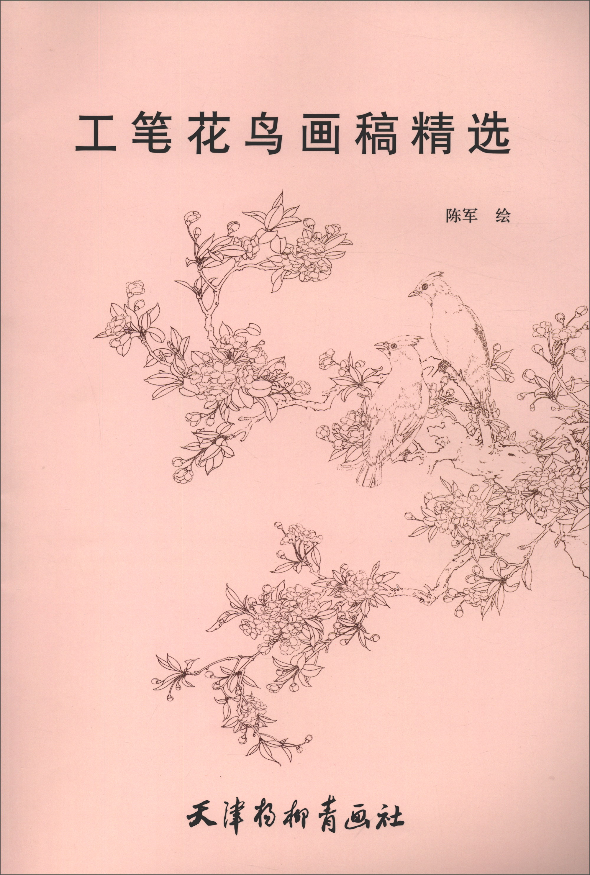 工笔花鸟画稿精选