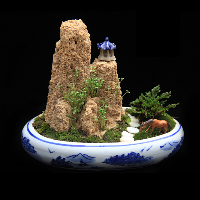 祺匠屋 上水石假山 原石吸水石盆景草籽创意花盆水旱观赏石办公室装饰