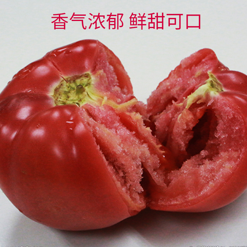 上海南汇本地自然熟西红柿 番茄  5斤装西红柿新鲜