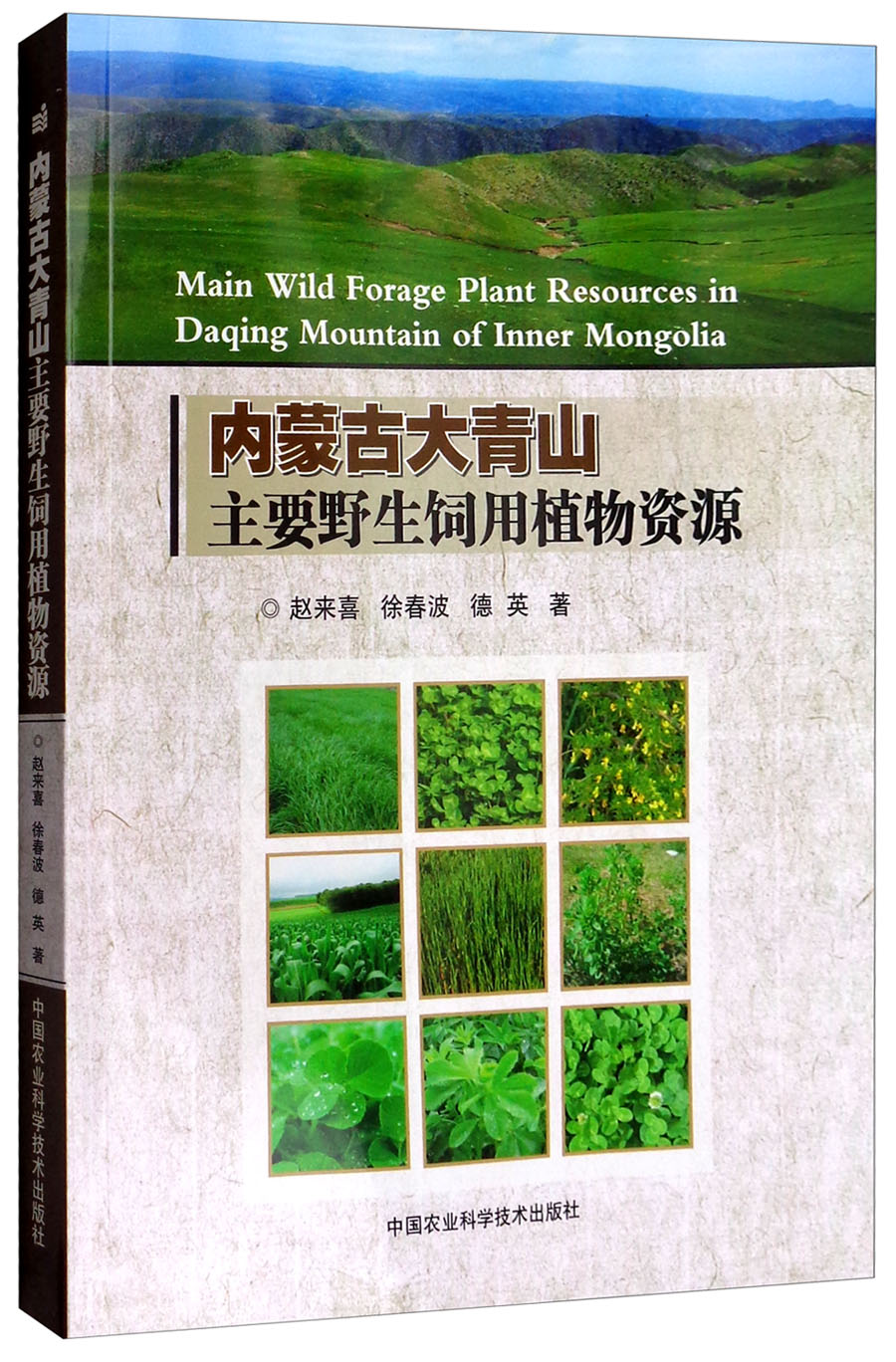内蒙古大青山主要野生饲用植物资源