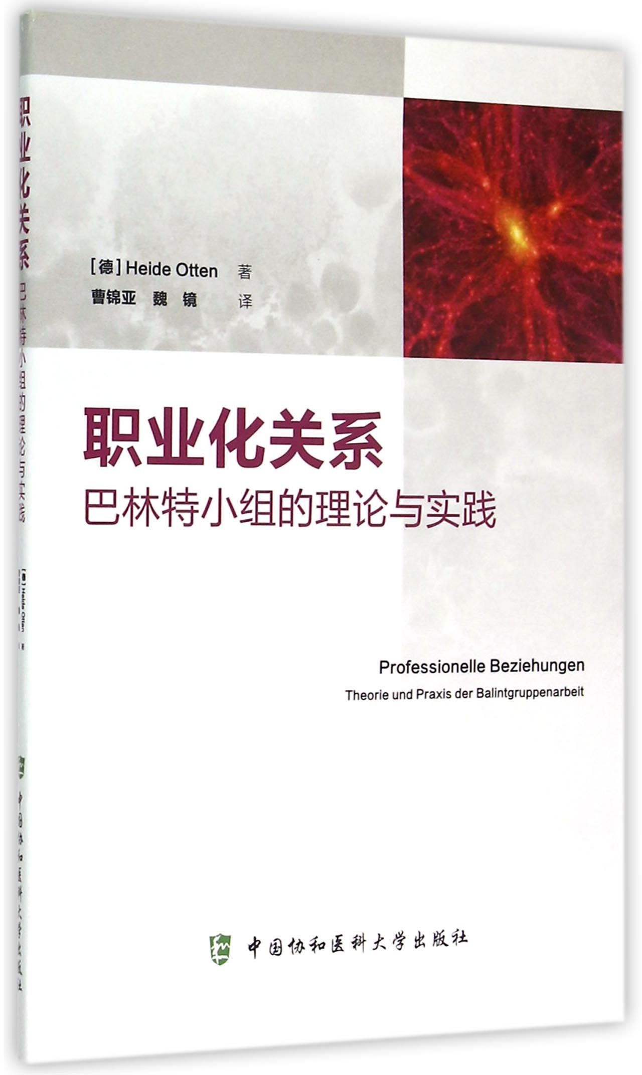 职业化关系(巴林特小组的理论与实践)