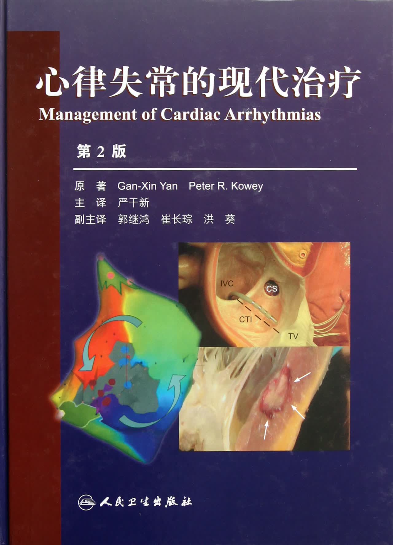 心律失常的现代治疗(第2版)(精)