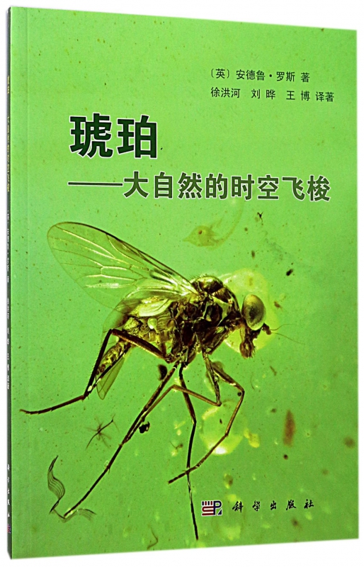 琥珀--大自然的时空飞梭