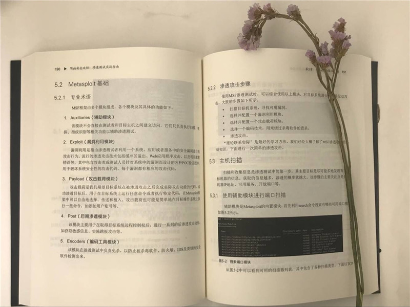 Web安全攻防:渗透测试实战指南(博文视点出品)详情图