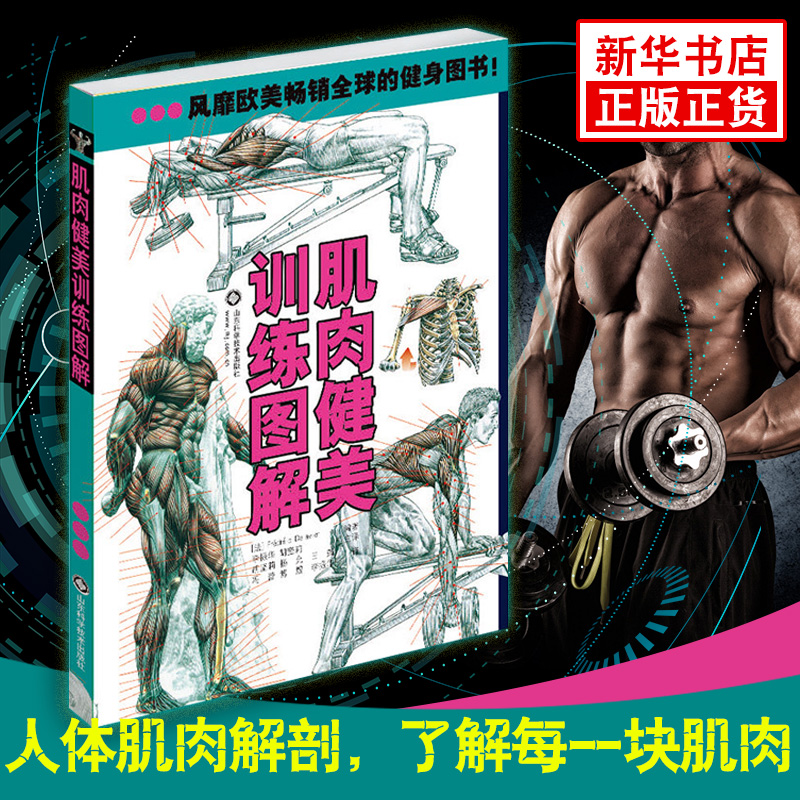 肌肉健美训练图解(z新版) 德拉威尔 肌肉图解肌肉塑造全书拉伸训练 健身教练书籍 健身书籍
