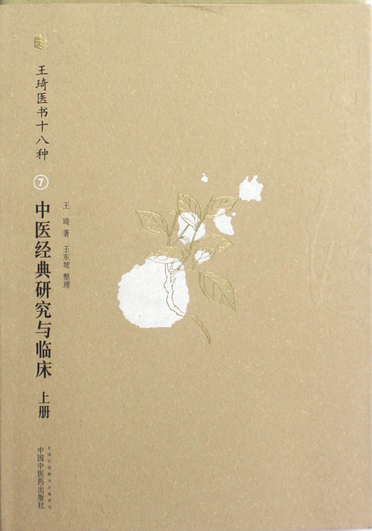 中医经典研究与临床(上下王琦医书十八种)