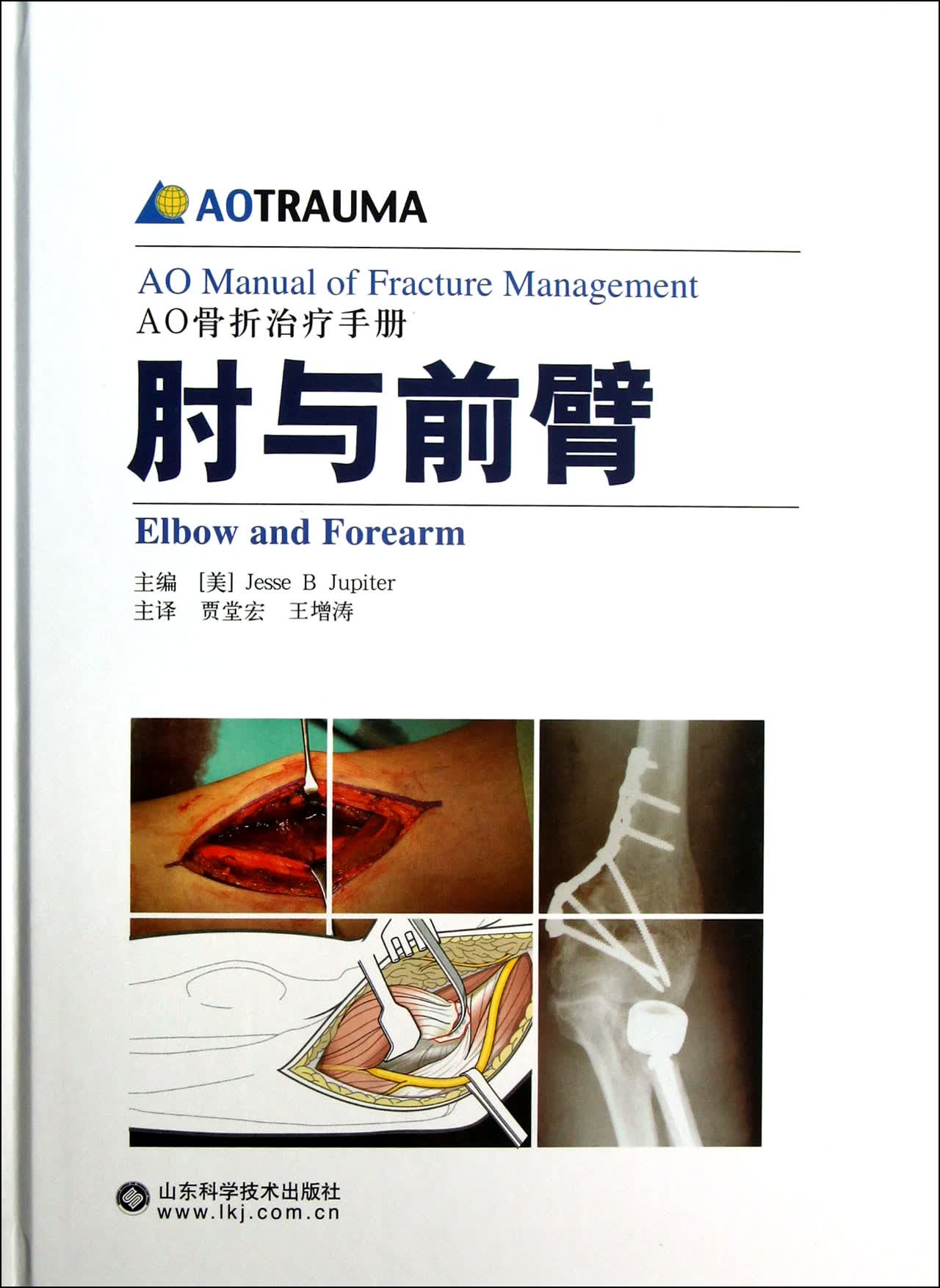 肘与前臂(AO骨折治疗手册)(精)