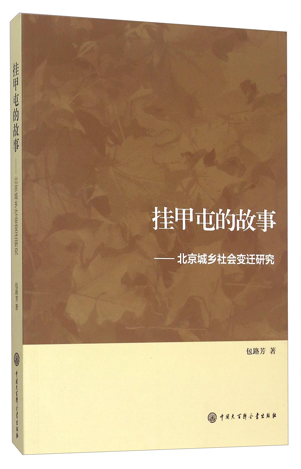 挂甲屯的故事:北京城乡社会变迁研究
