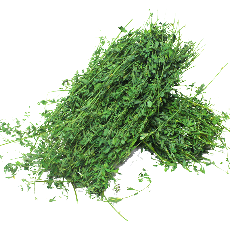 三,威毕兔粮提摩西草网友对比评测