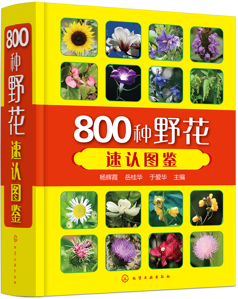 800种野花速认图鉴（精装、全彩图解、铜版纸）